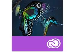 Adobe Premiere Pro CC, Liz