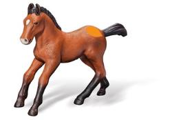 tiptoi® Andalusier Fohlen