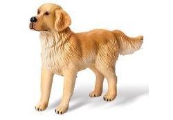 tiptoi® Golden Retriever 
