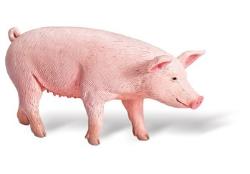 tiptoi® Schwein, Alter: a tiptoi® Schwein, Alter: a