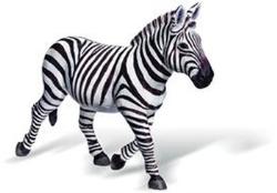 tiptoi® Zebrastute, Alter tiptoi® Zebrastute, Alter