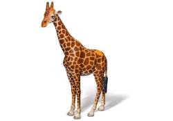 tiptoi® Giraffe, Alter: a