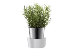 Auerhahn HERBS@HOME Kräut Auerhahn HERBS@HOME Kräut